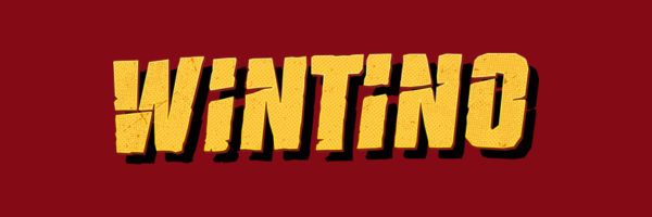Wintino Casino review banner